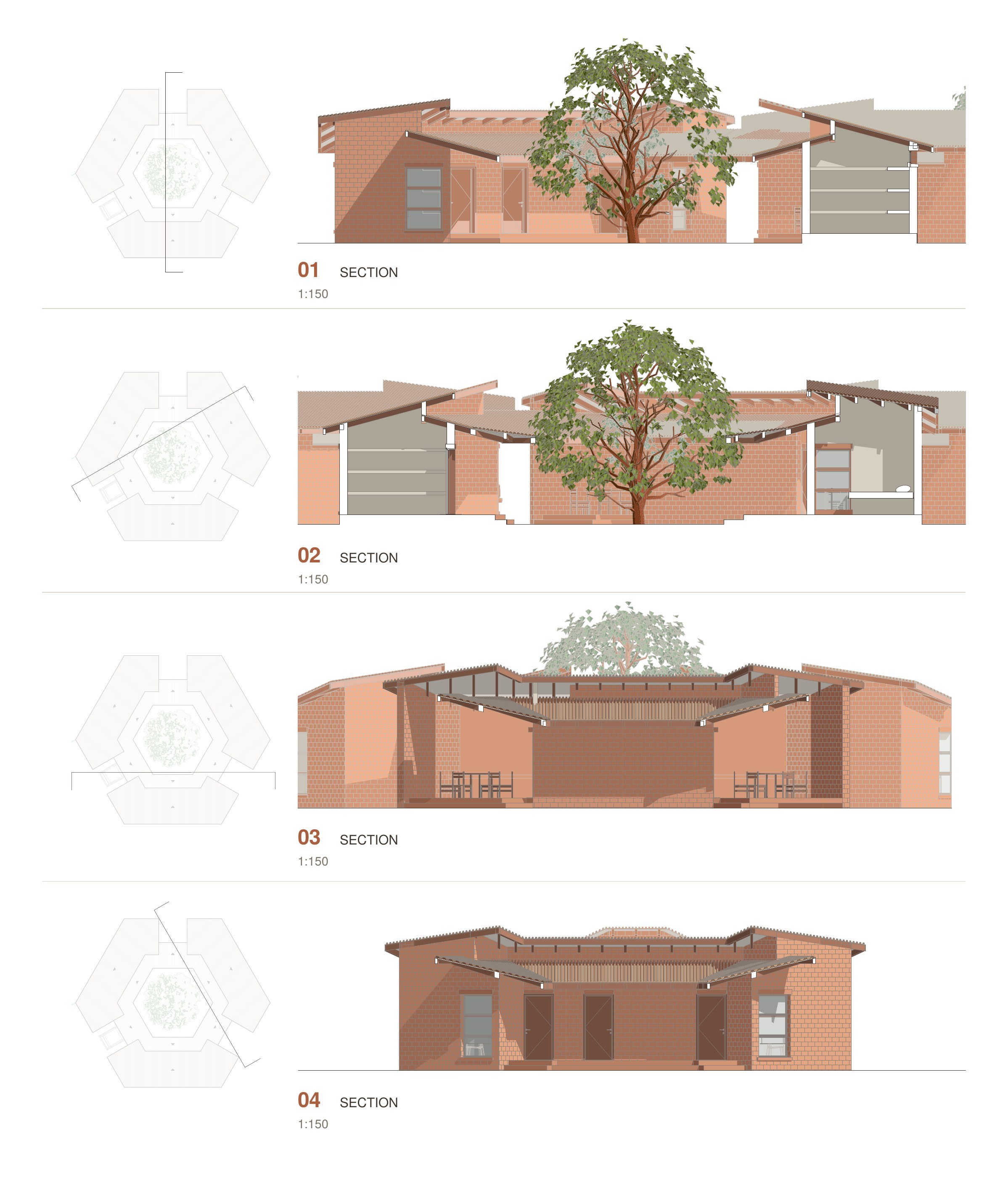 Wildlife Camps